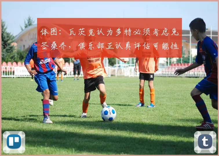 体图：瓦茨克认为多特必须考虑免签桑乔，俱乐部正认真评估可能性